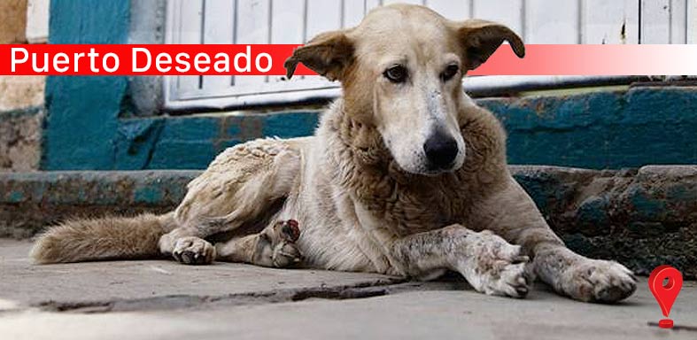 Puerto Deseado - PO