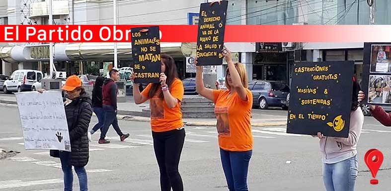 Participará de la Audiencia Pública por la problemática canina